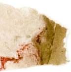 薮草のワッペン かけら